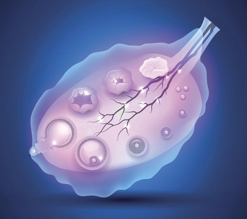 〖试管助孕移植后能弯腰吗？弯腰动作对胚胎着床有影响吗？专家为你揭秘〗